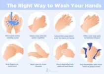 How to Wash Your Hands