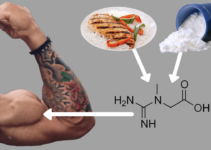 How to take creatine How to take creatine