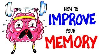 How To Enhance Memory And Retention - Learn How Do It