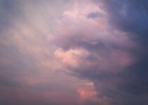 Mastering the Art of Trading with Ichimoku Cloud: A Comprehensive Guide
