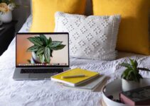 Speed Up Your Studying with These Tips