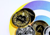 The Top 5 Best Wallets for Safely Storing Your Cryptocurrency The Top 5 Best Wallets for Safely Storing Your Cryptocurrency