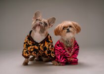 12 Heartwarming Photos Of Pets Growing Up Together