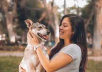 Experts Explain: Why Positive Reinforcement Trains Pets Best Experts Explain: Why Positive Reinforcement Trains Pets Best