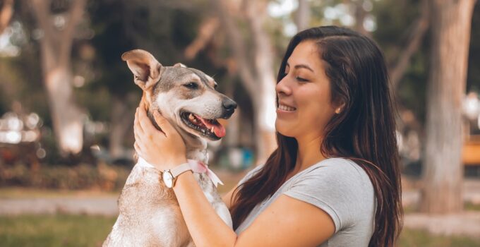 Photo Pets