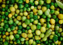 Healthy Pet Food Made Easy with Pet Care Kitchen Healthy Pet Food Made Easy with Pet Care Kitchen
