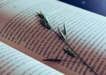 The 3 Questions From 18 Top Self-Help Books That Changed My Life The 3 Questions From 18 Top Self-Help Books That Changed My Life