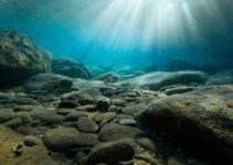 Real-Life Mermaid Shows The Coolest Hidden Ocean Locales Near You