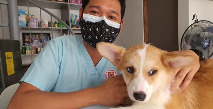Photo Vet clinic