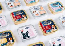 “Understanding Pet Nutrition: Feed Your Pet Right!”