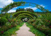 “Pet-Proof Your Yard: Create a Safe Outdoor Space!” “Pet-Proof Your Yard: Create a Safe Outdoor Space!”