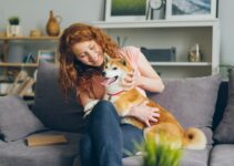 “Pet Anxiety: Signs to Watch For and How to Help!”
