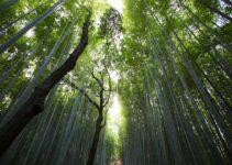 12 Introvert-Friendly Destinations To Escape To Alone