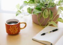 Why You Need to Replace Your Negative Thoughts to Succeed Why You Need to Replace Your Negative Thoughts to Succeed