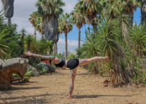 How I Trained My Brain to Achieve Flow State on Demand How I Trained My Brain to Achieve Flow State on Demand