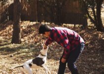 Finding the Perfect Dog Sitter: Tips and Advice Finding the Perfect Dog Sitter: Tips and Advice