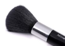 Mastering Alapaha Grooming: Taming the Push Coat Mastering Alapaha Grooming: Taming the Push Coat