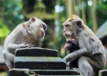 The Power Questions That Completely Changed My Perspective
