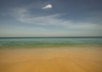 How Developing Self-Compassion Changed Everything