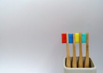 Find Dog Dental Near Me for Your Pet’s Oral Health