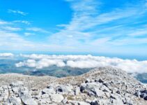 The Surprising Habit of People Who Live With No Regrets