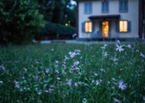 “How to Maximize Your Mortgage Savings After Interest Rate Drops”
