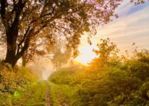 Boost Your Mood Naturally With These 9 Serotonin-Boosting Activities Boost Your Mood Naturally With These 9 Serotonin-Boosting Activities