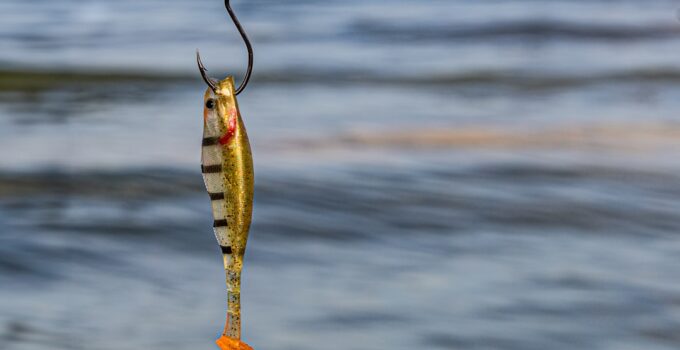 Photo Phishing email