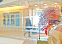 Achieve Peak Mental Performance with Nutritious Brain Foods