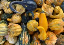 Boost Your Immune System Now and All Year With These Power Foods