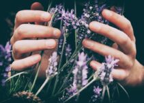 The Sleep Solution: Natural Nighttime Routines for Deep Restoration The Sleep Solution: Natural Nighttime Routines for Deep Restoration