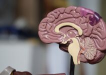 “The Power of Positive Thinking: How to Rewire Your Brain” “The Power of Positive Thinking: How to Rewire Your Brain”