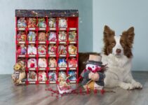 “The Best Pet Food Brands for a Healthy Dog Diet in 2024”