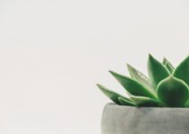 Downsize and Declutter Your Life – Tips for a Minimalist Detox Downsize and Declutter Your Life – Tips for a Minimalist Detox