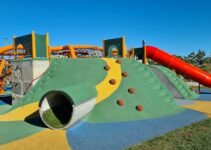 Building Confidence: The Power of Early Socialization