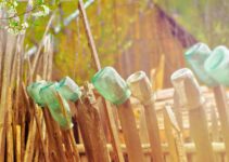 The Art of Fermentation: Culturing Your Own Kefir, Yogurt and Sauerkraut