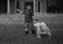 “How to Socialize Your Puppy with Other Dogs and People”