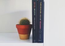 “The Self-Publishing Success Stories You Should Know”