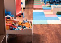 “The Importance of Playtime for Indoor Cats” “The Importance of Playtime for Indoor Cats”