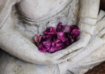 “How to Manage Stress and Avoid Burnout in a Busy World”