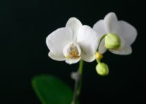 “How to Cultivate Patience and Trust the Process”