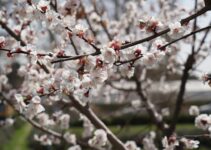 “How to Embrace Change and Use It for Personal Growth”