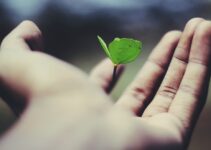 “How to Develop a Growth-Oriented Mindset for Lifelong Success” “How to Develop a Growth-Oriented Mindset for Lifelong Success”