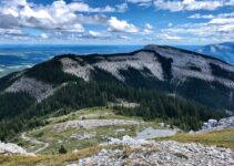“The Role of Self-Discipline in Achieving Personal Goals”