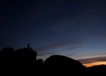 “The Role of Mindfulness in Stress Management” “The Role of Mindfulness in Stress Management”