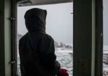 “Exploring the Benefits of Cold Plunge Therapy” “Exploring the Benefits of Cold Plunge Therapy”