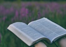 “The Role of Curiosity in Personal Growth and Learning” “The Role of Curiosity in Personal Growth and Learning”