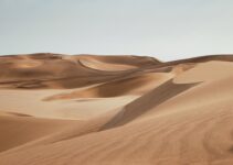 “The Most Anticipated Post-Apocalyptic Novels of the Year”