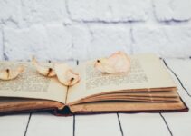 “The Role of Curiosity in Lifelong Personal Development” “The Role of Curiosity in Lifelong Personal Development”