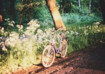 “The Benefits of Silence in a Noisy World”